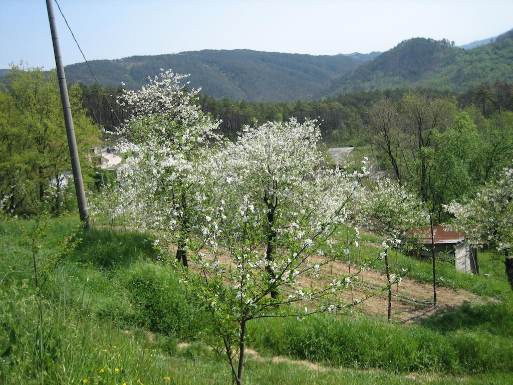 Agriturismo Casalino Beverino Eksteriør bilde